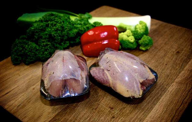Partridge