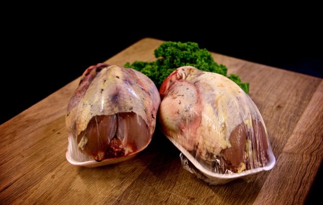 Pheasant